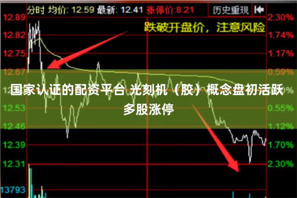 国家认证的配资平台 光刻机（胶）概念盘初活跃 多股涨停